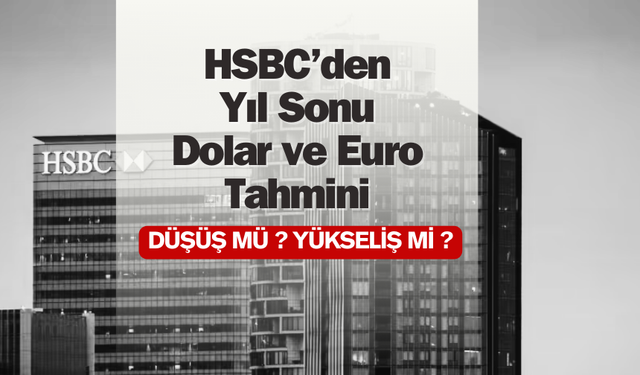 HSBC'den Yıl Sonu Dolar ve Euro Tahmini!